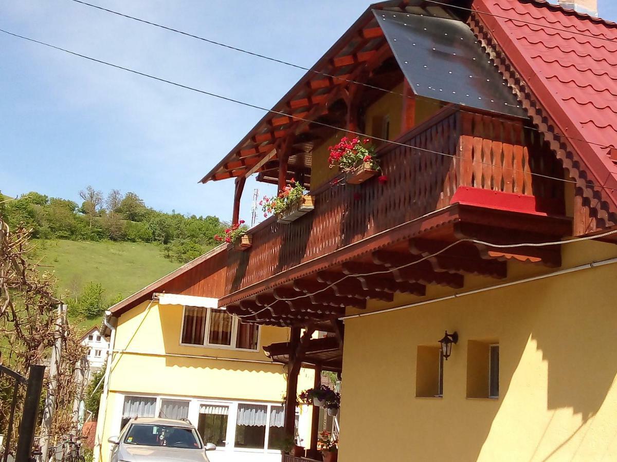 Casa Vio Ξενοδοχείο Σιγκισοάρα Εξωτερικό φωτογραφία
